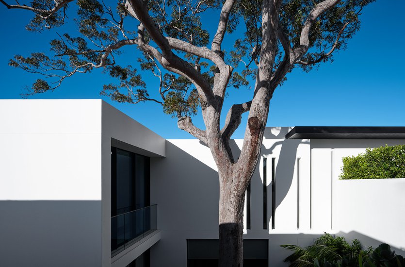 Mathieson Mosman House 01